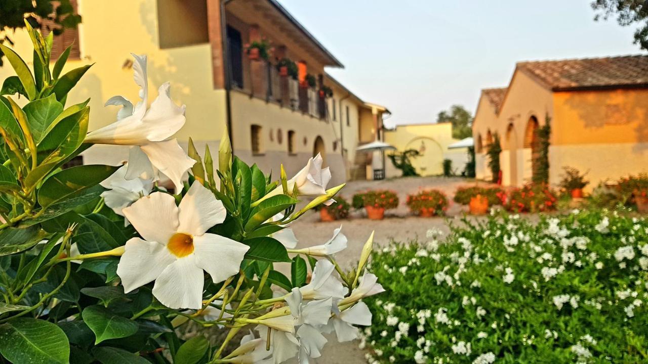 Punta Dei Lecci Villa Рипарбела Екстериор снимка