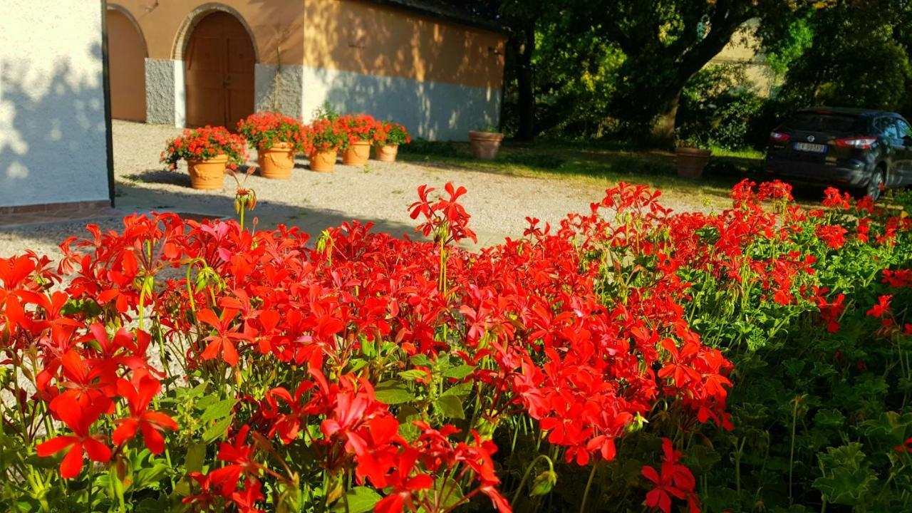 Punta Dei Lecci Villa Рипарбела Екстериор снимка