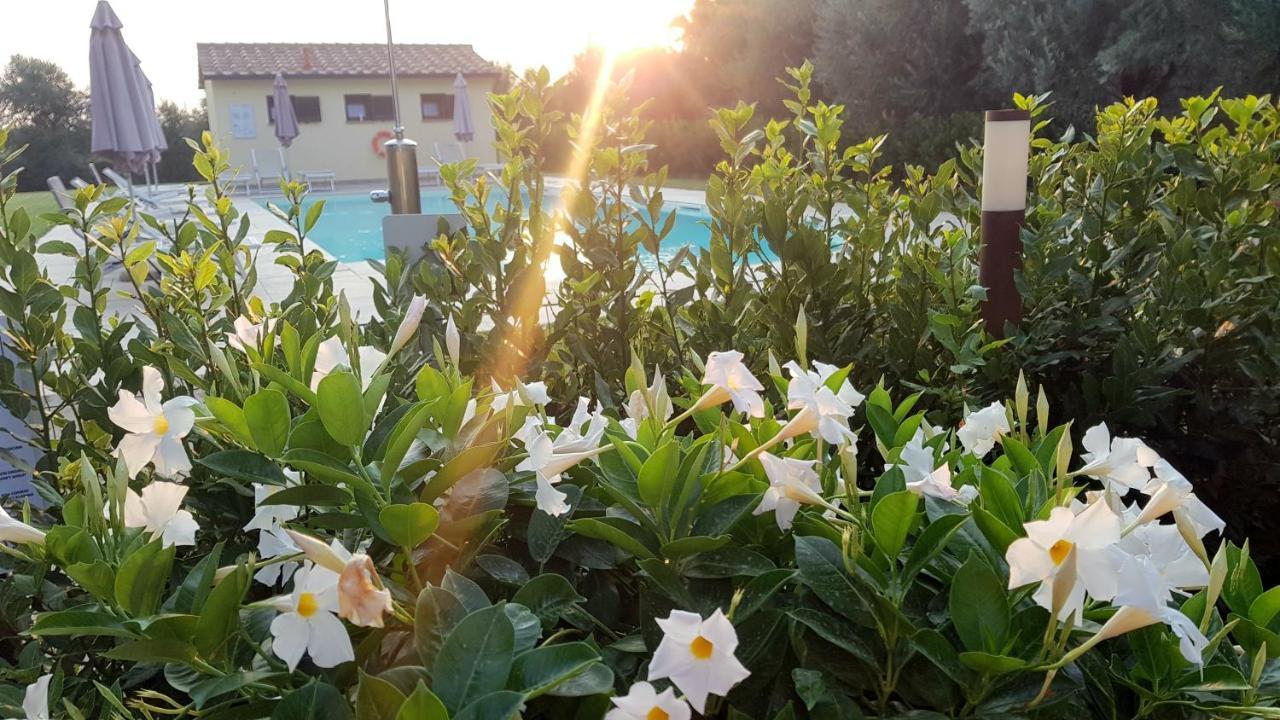 Punta Dei Lecci Villa Рипарбела Екстериор снимка